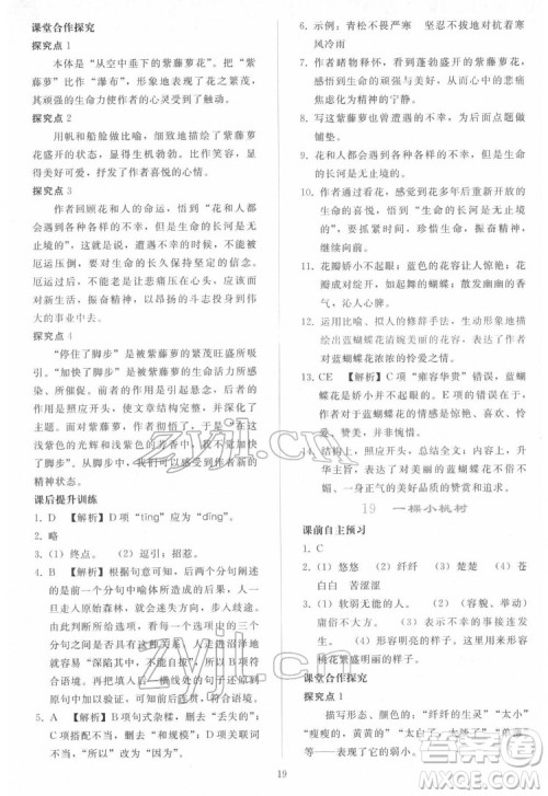 人民教育出版社2022同步轻松练习语文七年级下册人教版答案