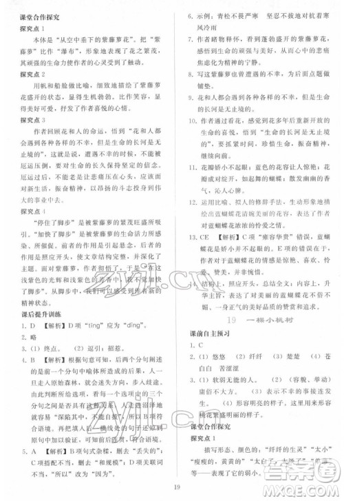 人民教育出版社2022同步轻松练习语文七年级下册人教版答案