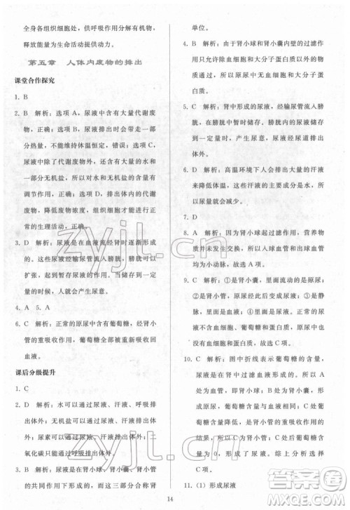 人民教育出版社2022同步轻松练习生物学七年级下册人教版答案