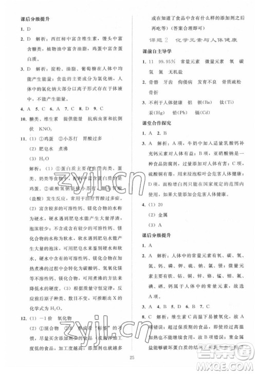 人民教育出版社2022同步轻松练习化学九年级下册人教版答案