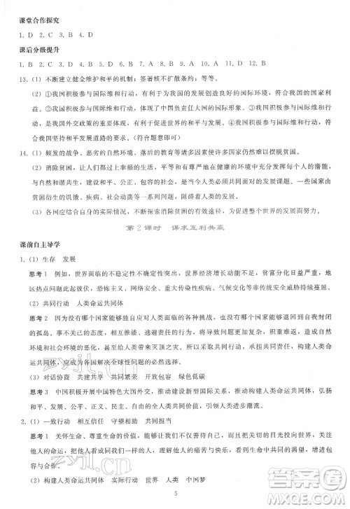 人民教育出版社2022同步轻松练习道德与法治九年级下册人教版答案