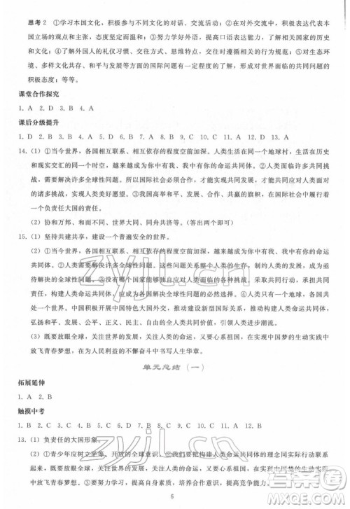 人民教育出版社2022同步轻松练习道德与法治九年级下册人教版答案