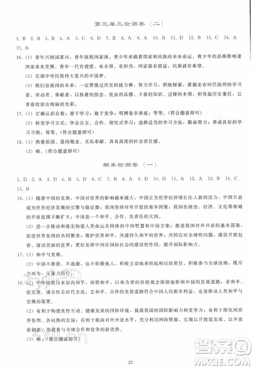 人民教育出版社2022同步轻松练习道德与法治九年级下册人教版答案