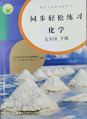 人民教育出版社2022同步轻松练习化学九年级下册人教版答案