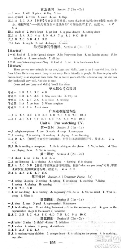 江西教育出版社2022名师测控七年级英语下册RJ人教版广西专版答案 江西教育出版社2022名师测控七年级英语下册RJ人教版广西专版答案