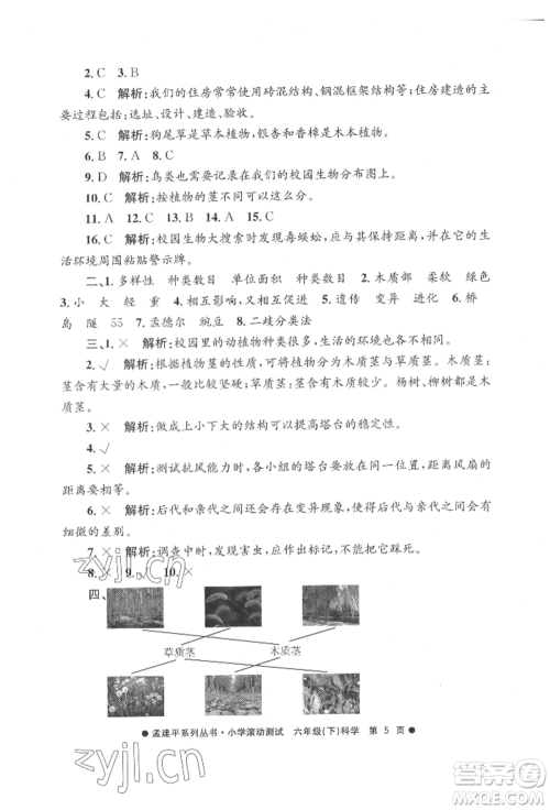 浙江工商大学出版社2022孟建平系列小学滚动测试六年级下册科学教科版参考答案