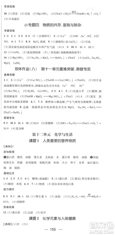 江西教育出版社2022名师测控九年级化学下册RJ人教版江西专版答案