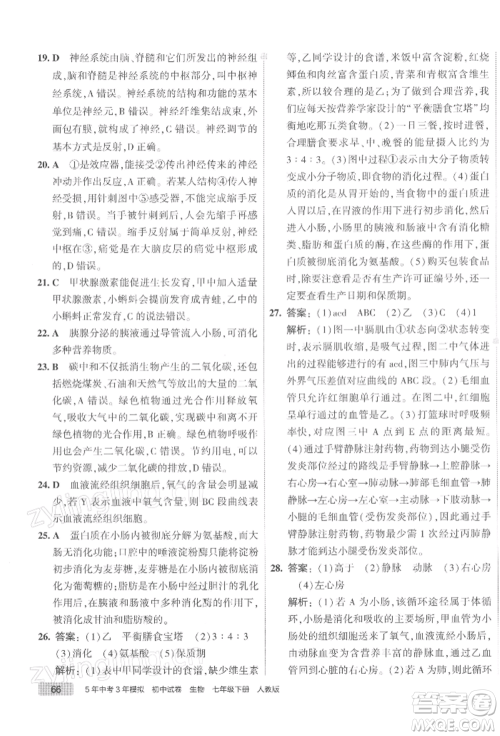 首都师范大学出版社2022年5年中考3年模拟初中试卷七年级下册生物人教版参考答案