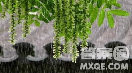 雨中小调为题作文400字 关于雨中小调为题目的作文400字