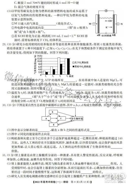 2022年高考冲刺卷一理科综合试题及答案