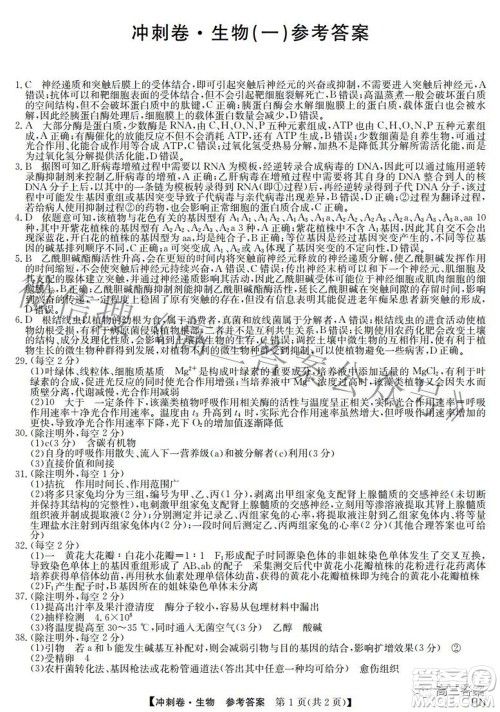 2022年高考冲刺卷一理科综合试题及答案 2022年高考冲刺卷一理科综合试题及答案