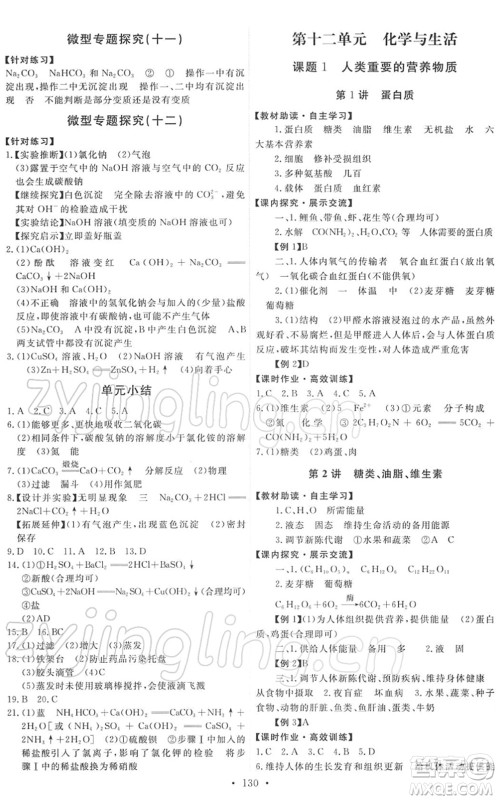 人民教育出版社2022能力培养与测试九年级化学下册人教版答案