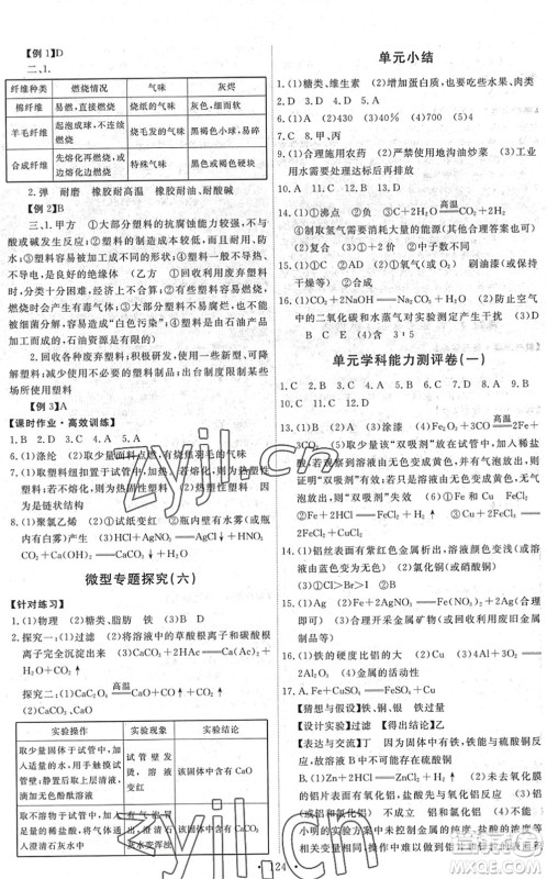 人民教育出版社2022能力培养与测试九年级化学下册人教版湖南专版答案