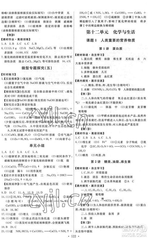 人民教育出版社2022能力培养与测试九年级化学下册人教版湖南专版答案