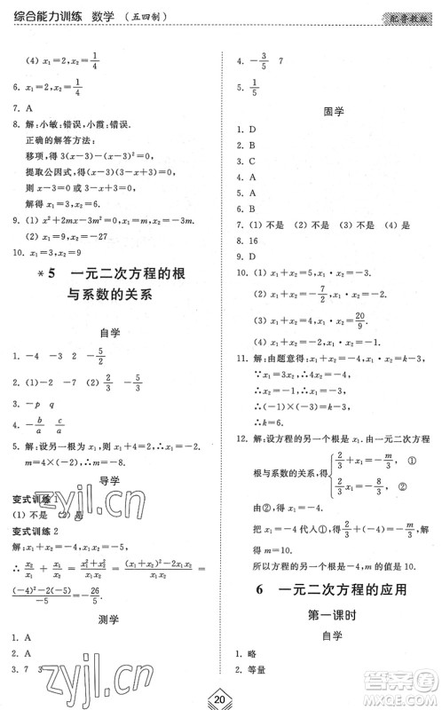 山东人民出版社2022综合能力训练八年级数学下册鲁教版五四学制答案