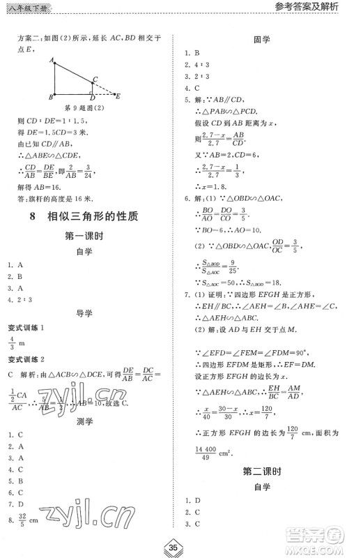 山东人民出版社2022综合能力训练八年级数学下册鲁教版五四学制答案