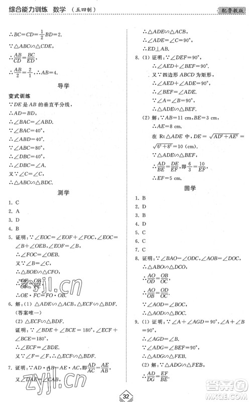 山东人民出版社2022综合能力训练八年级数学下册鲁教版五四学制答案