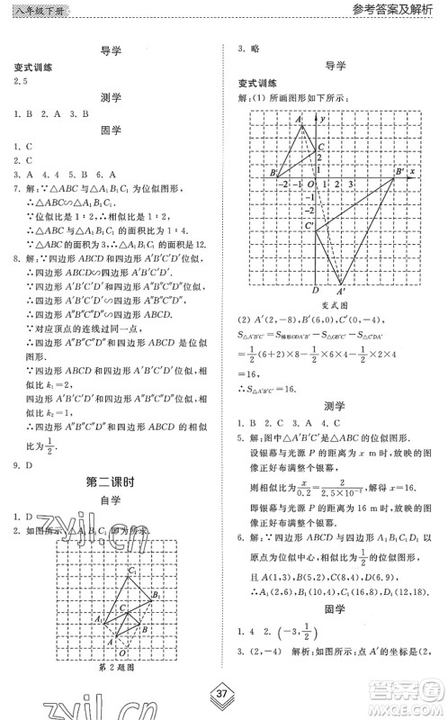 山东人民出版社2022综合能力训练八年级数学下册鲁教版五四学制答案