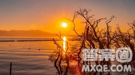 众人之进未始不为退材料作文800字 关于众人之进未始不为退的材料作文800字 众人之进未始不为退材料作文800字 关于众人之进未始不为退的材料作文800字