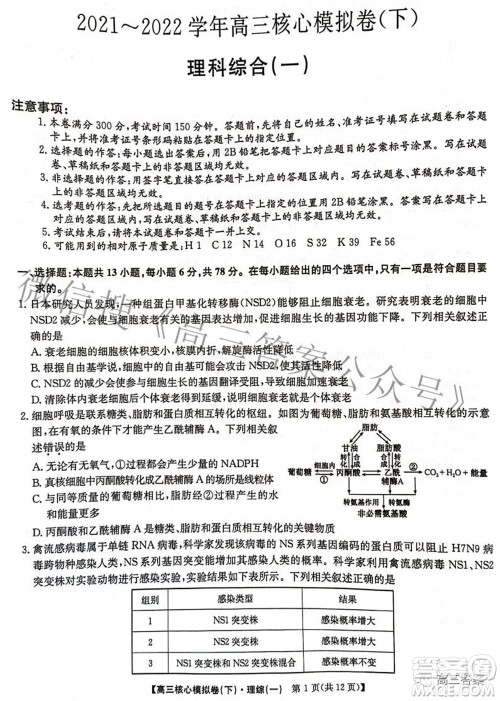 九师联盟2021-2022学年高三核心模拟卷下一理科综合试题及答案