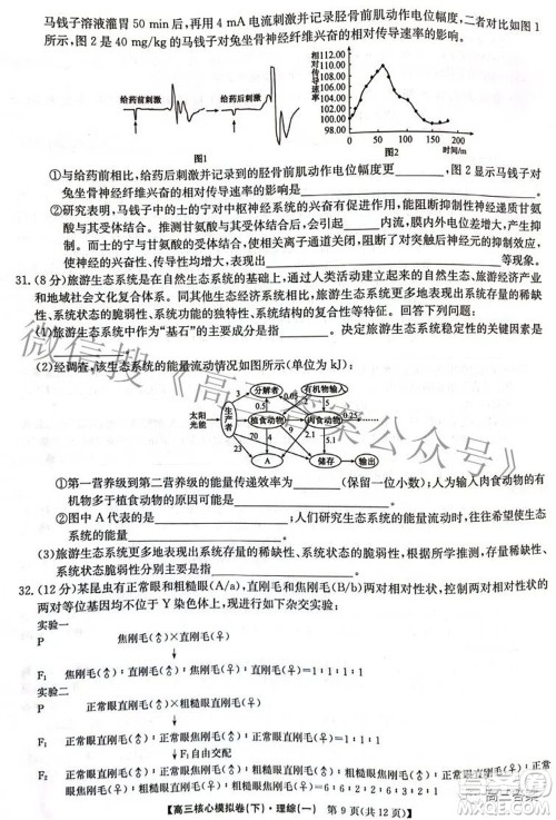 九师联盟2021-2022学年高三核心模拟卷下一理科综合试题及答案