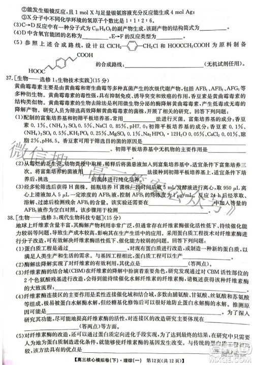 九师联盟2021-2022学年高三核心模拟卷下一理科综合试题及答案 九师联盟2021-2022学年高三核心模拟卷下一理科综合试题及答案