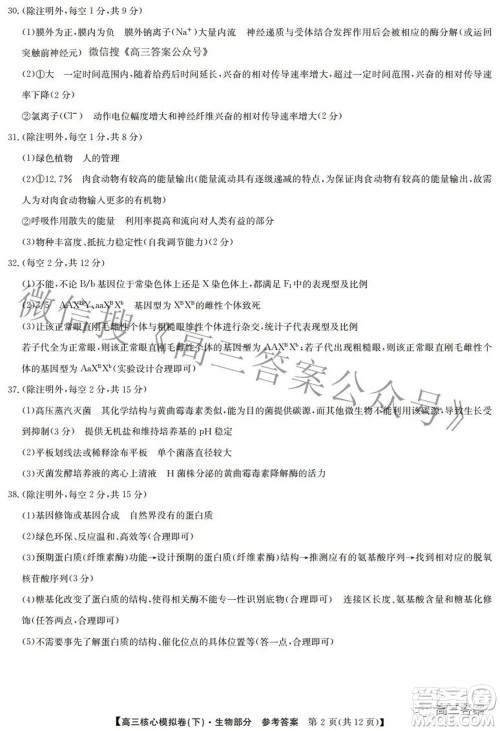 九师联盟2021-2022学年高三核心模拟卷下一理科综合试题及答案 九师联盟2021-2022学年高三核心模拟卷下一理科综合试题及答案