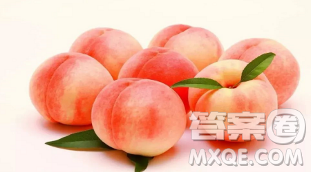 写桃子的作文300字 关于写桃子的作文300字 写桃子的作文300字 关于写桃子的作文300字