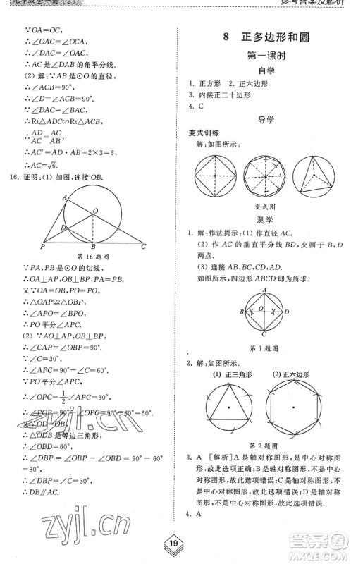 山东人民出版社2022综合能力训练九年级数学全一册(2)鲁教版五四学制答案