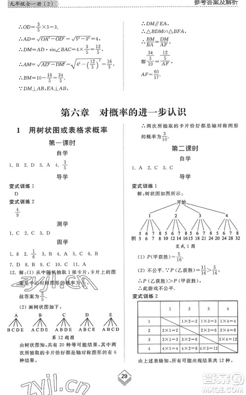 山东人民出版社2022综合能力训练九年级数学全一册(2)鲁教版五四学制答案