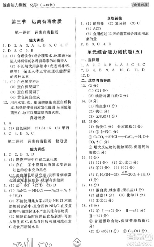 山东人民出版社2022综合能力训练九年级化学全一册(2)鲁教版五四学制答案