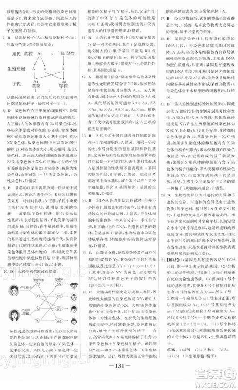 河北少年儿童出版社2022金榜学案八年级生物下册人教版河南专版答案