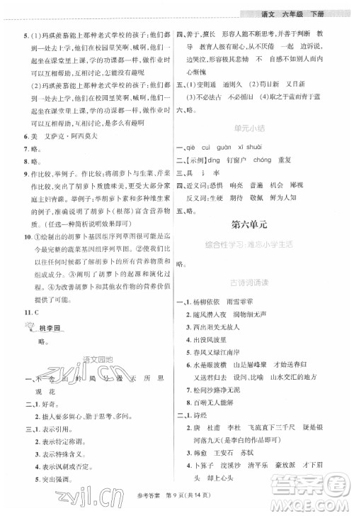 北京师范大学出版社2022课内课外直通车语文六年级下册河南专版答案 北京师范大学出版社2022课内课外直通车语文六年级下册河南专版答案