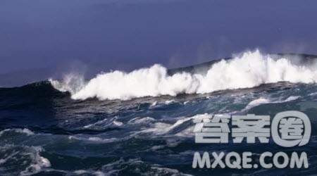 发现生活中的美话题作文600字 以发现生活中的美为话题的作文600字 发现生活中的美话题作文600字 以发现生活中的美为话题的作文600字