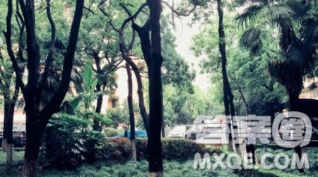 雨后的____写景作文400字 写雨后的____的写景作文400字 雨后的____写景作文400字 写雨后的____的写景作文400字