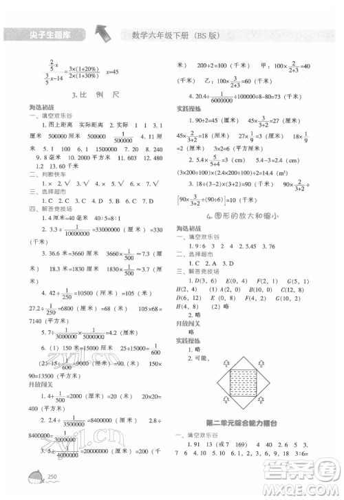 辽宁教育出版社2022尖子生题库数学六年级下册BS北师版答案