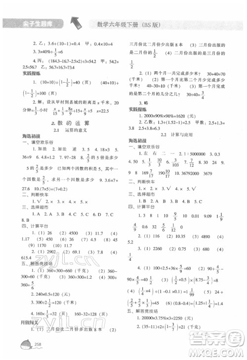 辽宁教育出版社2022尖子生题库数学六年级下册BS北师版答案