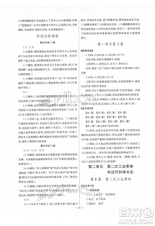 长江少年儿童出版社2022长江全能学案同步练习册九年级历史下册人教版答案