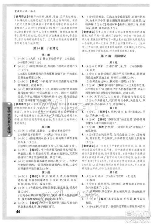 新疆青少年出版社2022中考面对面九年级语文通用版重庆专版参考答案