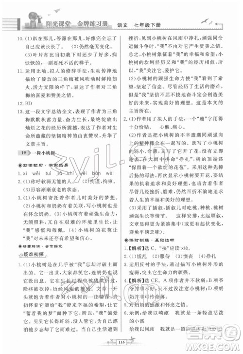 人民教育出版社2022阳光课堂金牌练习册语文七年级下册人教版福建专版答案