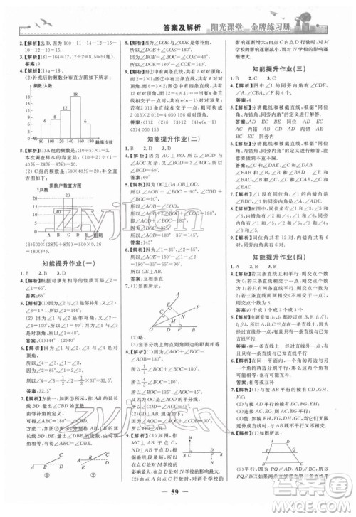 人民教育出版社2022阳光课堂金牌练习册数学七年级下册人教版答案