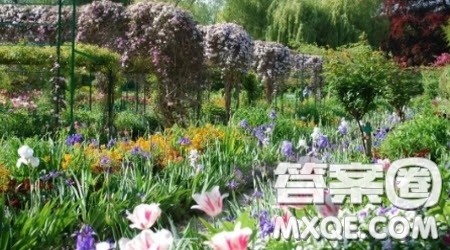 关于学校的花园的作文400字 与学校的花园相关的作文400字 关于学校的花园的作文400字 与学校的花园相关的作文400字