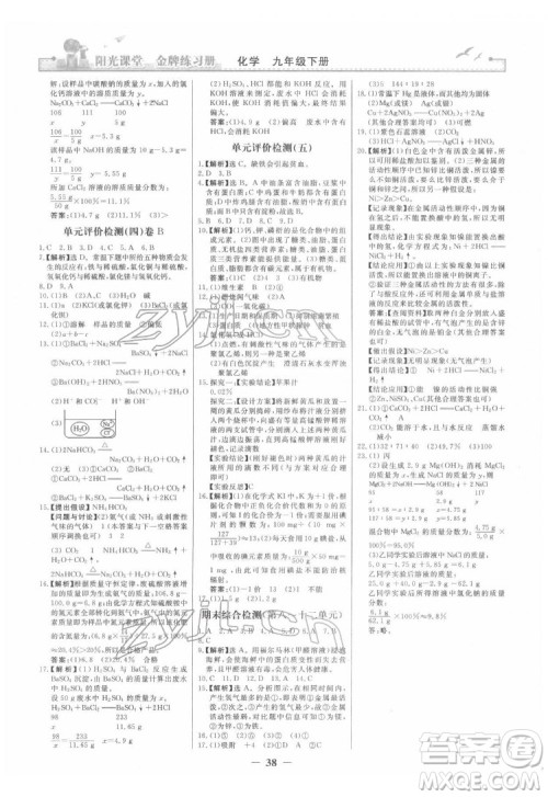 人民教育出版社2022阳光课堂金牌练习册化学九年级下册人教版答案