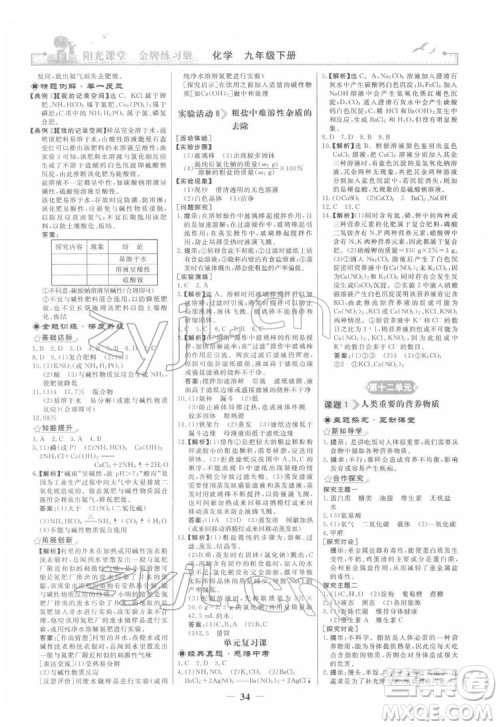 人民教育出版社2022阳光课堂金牌练习册化学九年级下册人教版答案 人民教育出版社2022阳光课堂金牌练习册化学九年级下册人教版答案