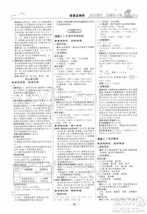 人民教育出版社2022阳光课堂金牌练习册化学九年级下册人教版答案