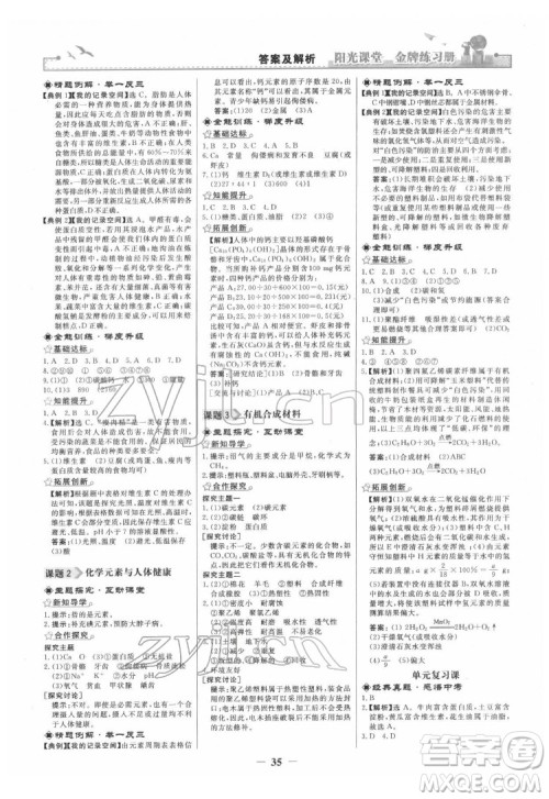 人民教育出版社2022阳光课堂金牌练习册化学九年级下册人教版答案