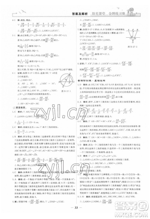 人民教育出版社2022阳光课堂金牌练习册数学九年级下册人教版答案