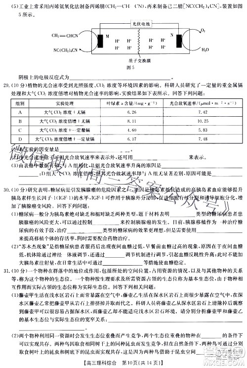 2022年4月金太阳高三联考理科综合试题及答案