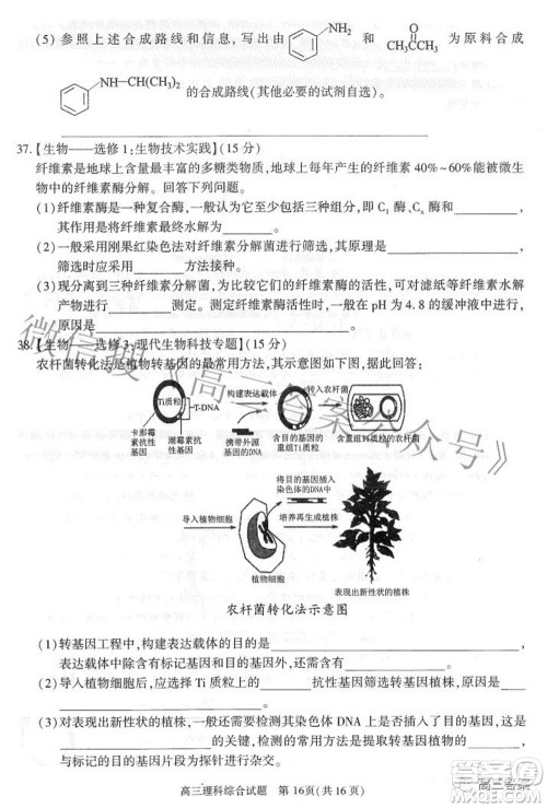 合肥市2022年高三第二次教学质量检测理科综合试题及答案