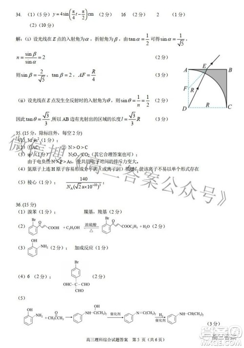 合肥市2022年高三第二次教学质量检测理科综合试题及答案